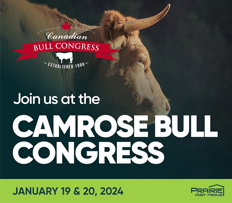 Camrose Bull Congress 1